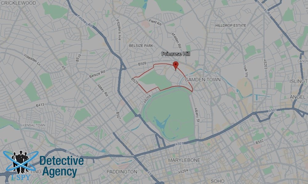 Our Detectives operate across the entire Primrose Hill area