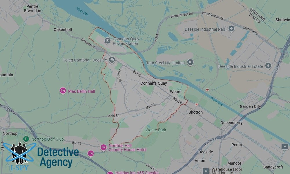 Bug Sweeping Coverage Across Connah's Quay