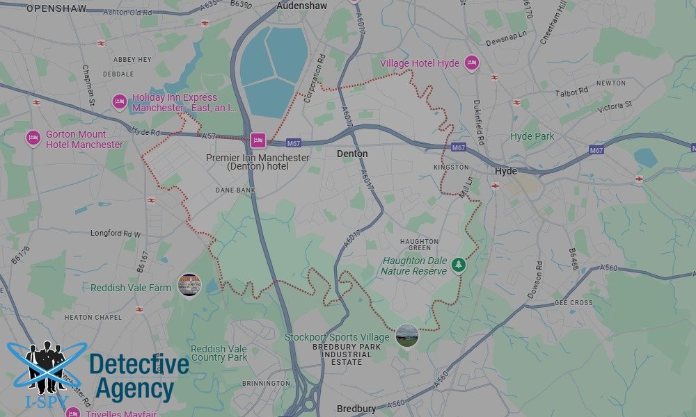 Bug Sweeping Coverage Across Denton