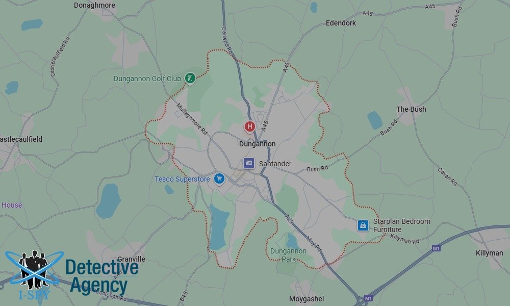 Bug Sweeping Coverage Across Dungannon