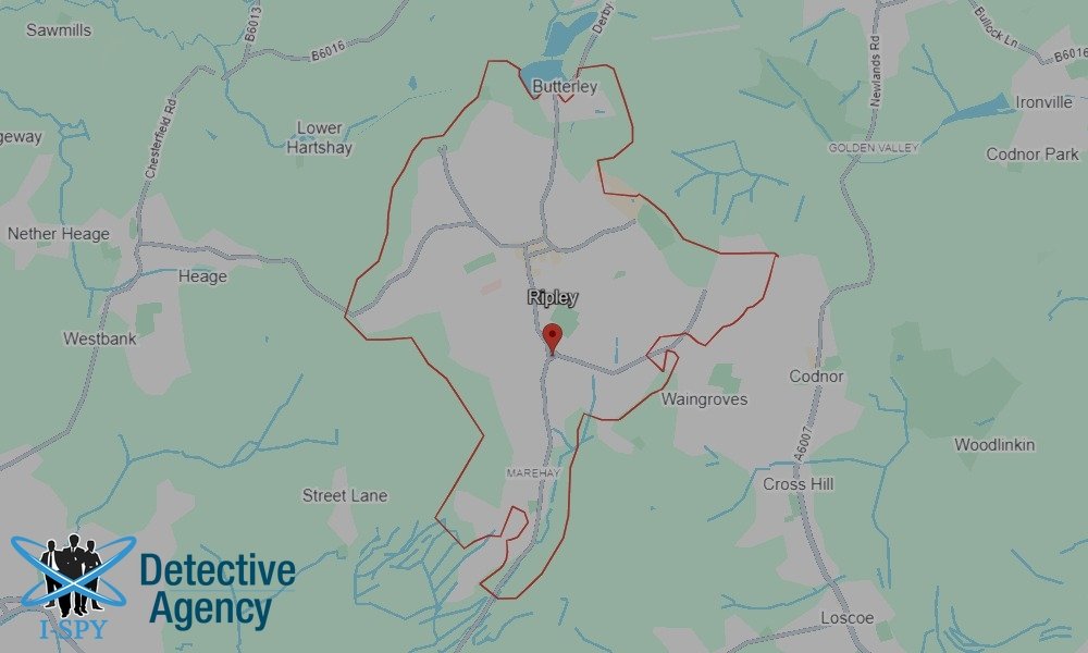 Bug Sweeping Coverage Across Ripley