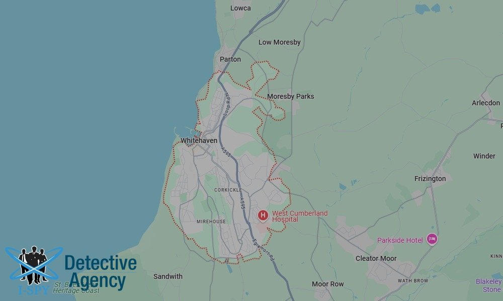 Bug Sweeping Coverage Across Whitehaven