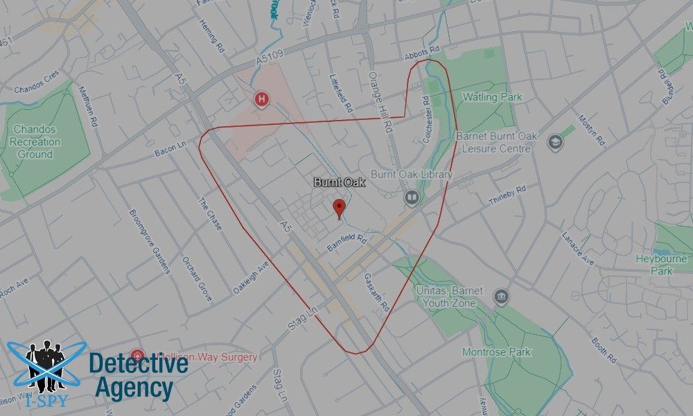 Bug Sweeping Coverage Across Burnt Oak