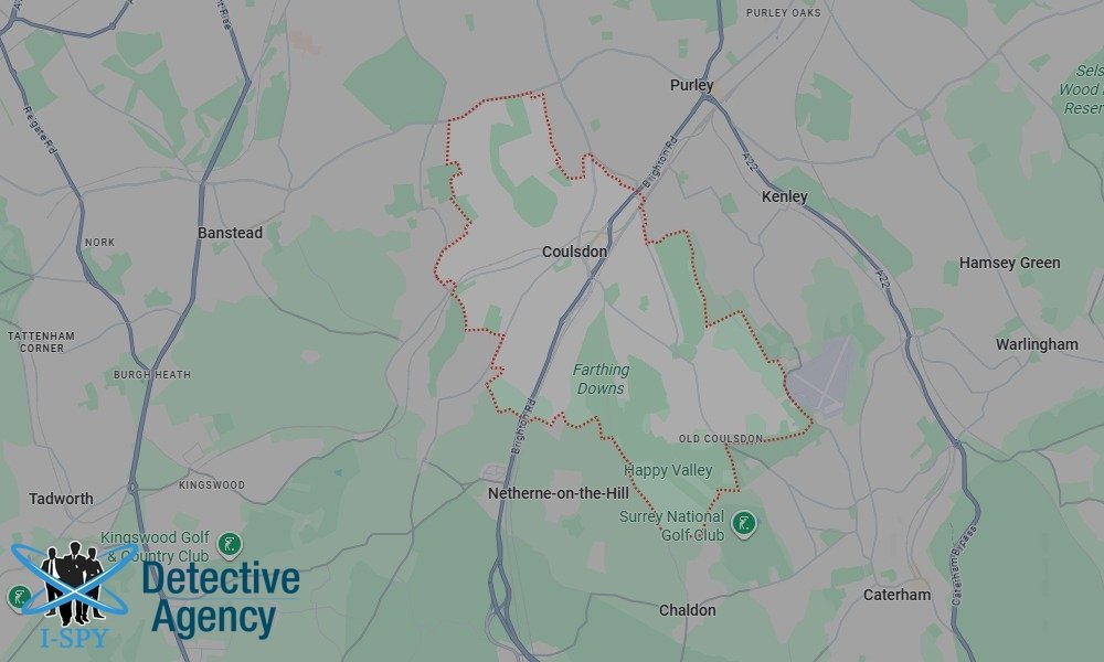 Bug Sweeping Coverage Across Coulsdon