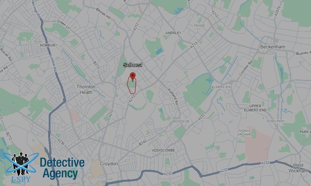 Bug Sweeping Coverage Across Selhurst