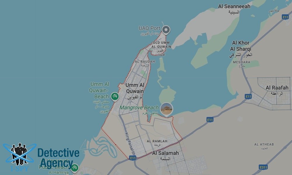 Bug Sweeping Coverage Across Umm Al Quwain